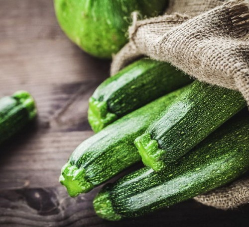 Squash Zucchini Aeronaut 